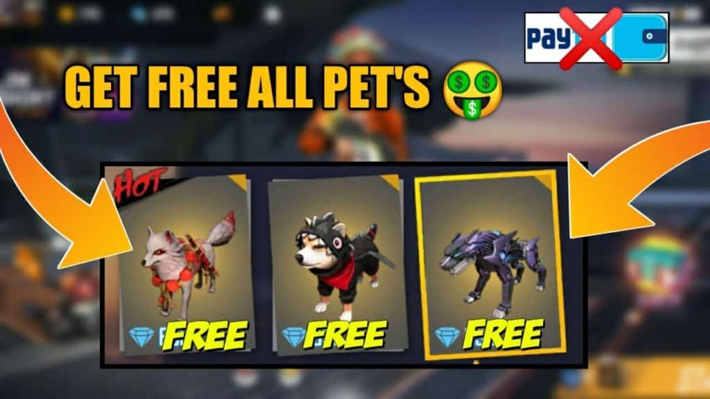 How To Unlock pet In free fire for Free - POINTOFGAMER