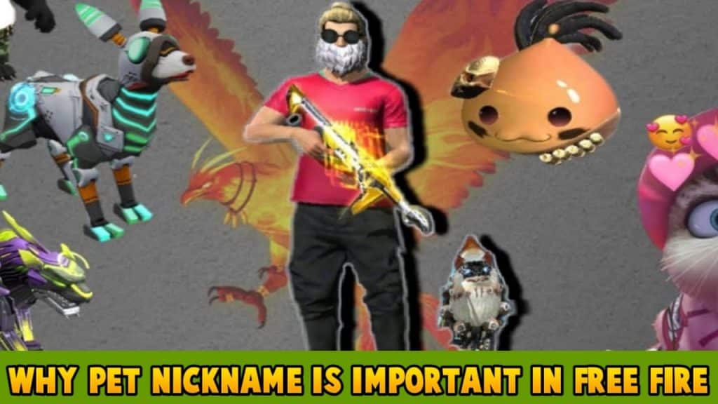 Why pet nickname is important in free fire