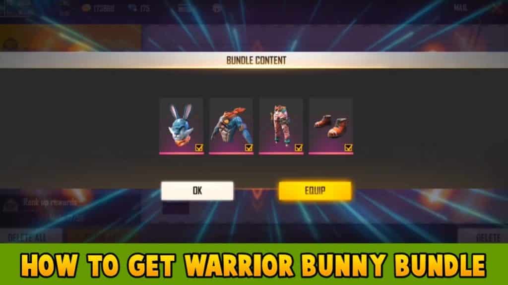 How to get a Warrior bunny bundle