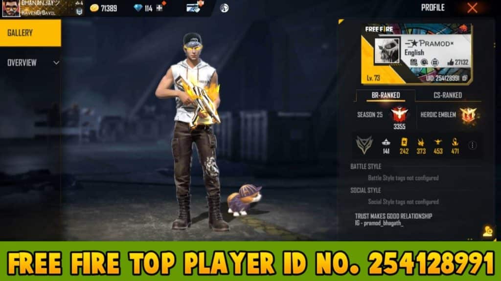 Free fire top player Id 254128991
