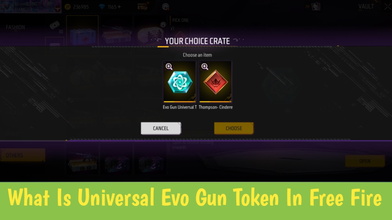 What Is Universal Evo Gun Token In Free Fire Max