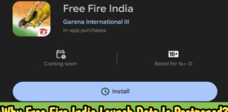 Why Free Fire India Launch Date Is Postponed