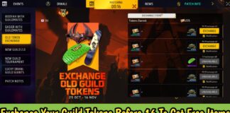 Exchange Your Guild Tokens Before 16 To Get Free Items